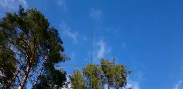Measure Height
