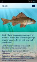 Kalamäng syot layar 2