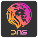 Lion DNS Changer Net Optimizer APK