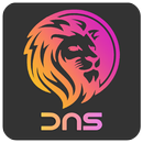 Lion DNS Changer Net Optimizer aplikacja