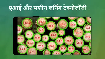 Timbeter स्क्रीनशॉट 1