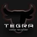 Voice Recorder APK