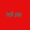 Test pay
