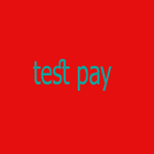 Test pay icône