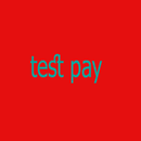 Test pay APK