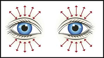 Oefeningen en oog tips-poster