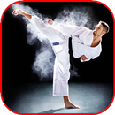Taekwondo, Karate and Kung fu-APK