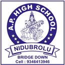 APK AP High School