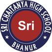 Sri Chaitanya High School