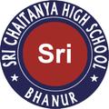 Sri Chaitanya High School