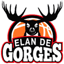 Elan de gorges basket APK
