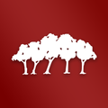 Club de Golf El Bosque
