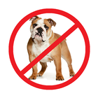 AntiDog icon