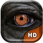 3D Elephant Eye Live Wallpaper icon