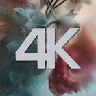 4K Wallpapers Pack icône