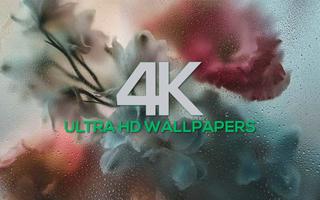 4K Wallpapers Pack capture d'écran 3