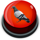 Pigeon Sound Effect-icoon