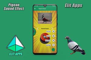 Pigeon Sound Effect screenshot 3