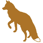 Fox Hollow icône