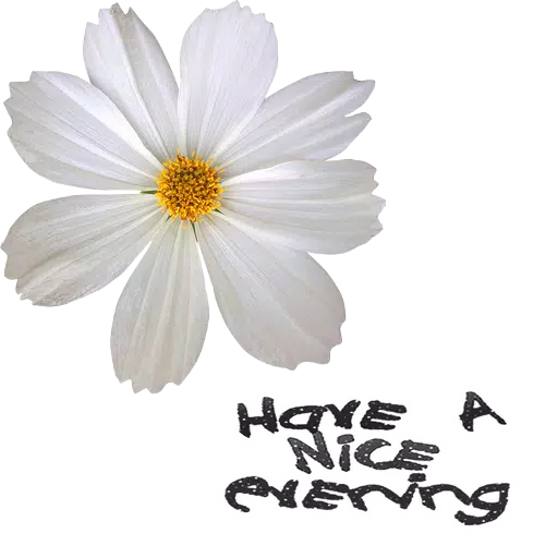 Good Evening Stickers Apk For Android Download