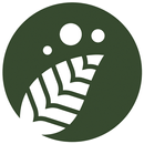 Cincau Station APK