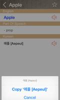 Korean English Dictionary ảnh chụp màn hình 2