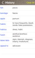 Latin English Dictionary Screenshot 3