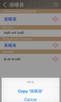 Cantonese English Dictionary تصوير الشاشة 2