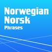 ”Learn Norwegian Phrasebook