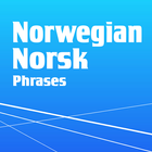 Learn Norwegian Phrasebook آئیکن