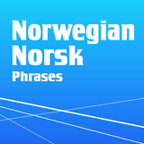 Learn Norwegian Phrasebook icône