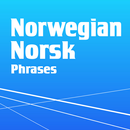 Learn Norwegian Phrasebook APK