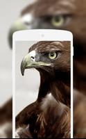 Eagle Wallpaper 截图 3