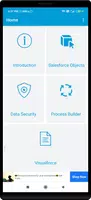 Salesforce Tutorial Cartaz