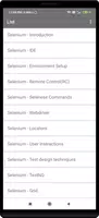 Selenium Tutorial 海报