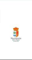 Numancia la Sagra Informa Ekran Görüntüsü 3