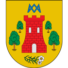 Torrecilla de la Jara Informa icon