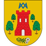 Torrecilla de la Jara Informa icon