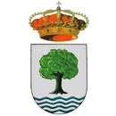 APK Higuera Informa