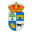 Navacarros Informa APK