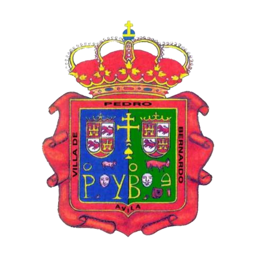 Pedro Bernardo Informa