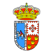 Ponga Informa