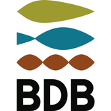 GVA BDB أيقونة