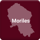 Moriles