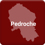 Pedroche