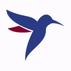 Hélity - Copter Airlines APK