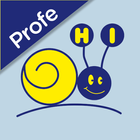 Hallo Idiomas Profesor आइकन