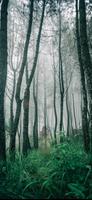 Ghost In Photo App স্ক্রিনশট 1