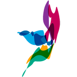 Nuara esencia de la belleza