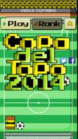 Copa del Topo 2014 海報